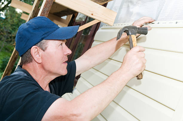 Affordable Siding Repair and Maintenance Services in Oronoco, MN